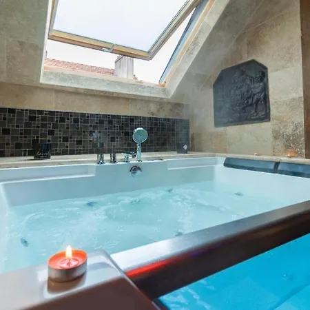 Sous Mon Toit - Sauna & Jacuzzi Apartment Dijon