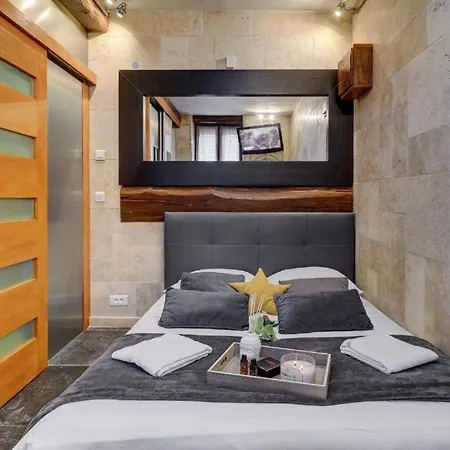 Sous Mon Toit - Sauna & Jacuzzi Apartment Dijon