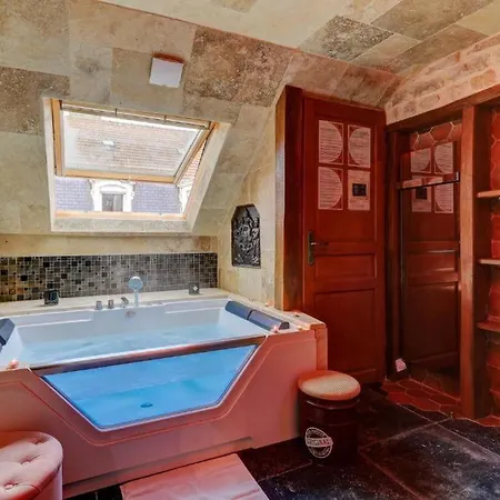 Sous Mon Toit - Sauna & Jacuzzi * Dijon