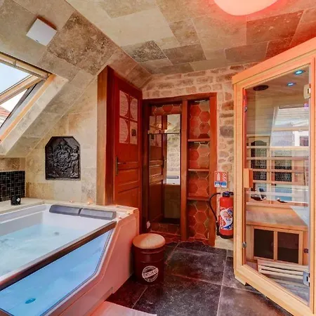Sous Mon Toit - Sauna & Jacuzzi Apartment Dijon